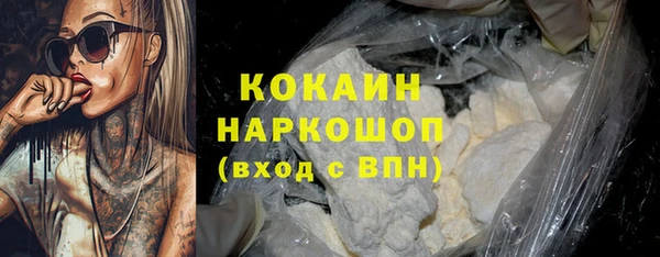 гидра Алексин